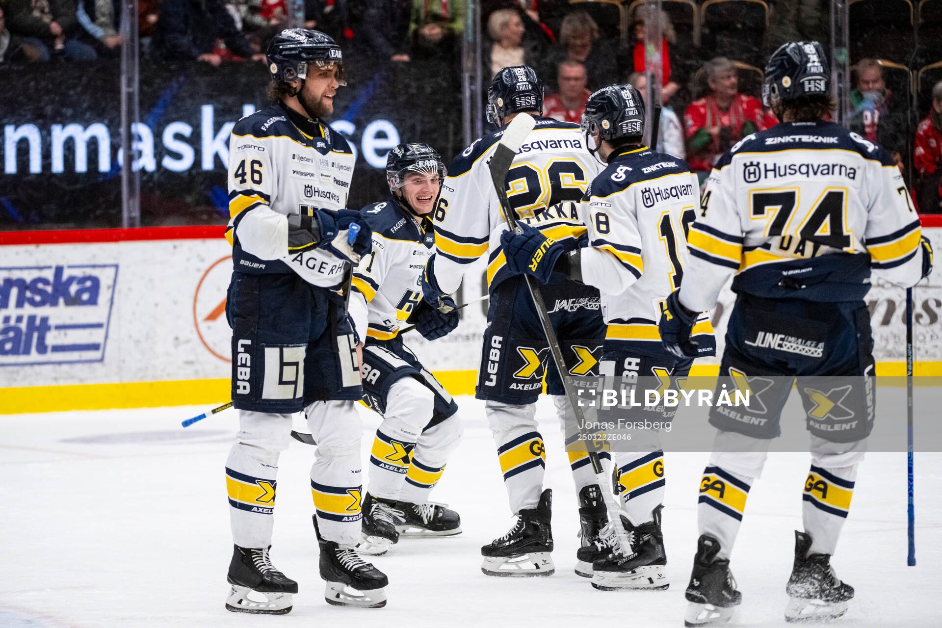 HV71s William Ignberg Nilsson jublar