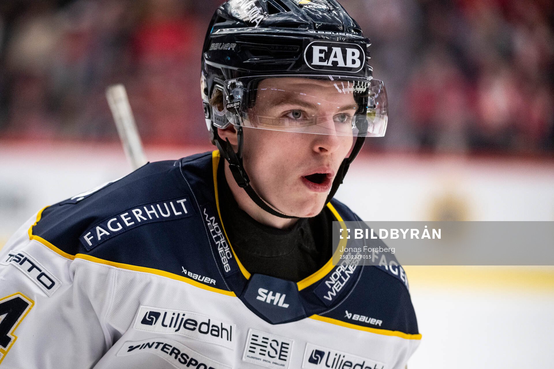 HV71s Oscar Fisker Molgaard jublar