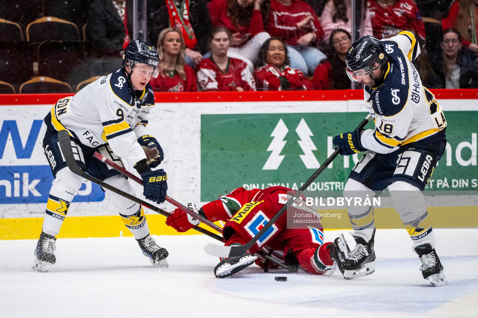 HV71s Hugo Pettersson och Joseph Laleggia