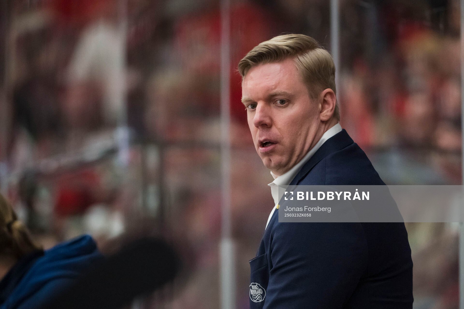 HV71s tränare Anton Blomqvist