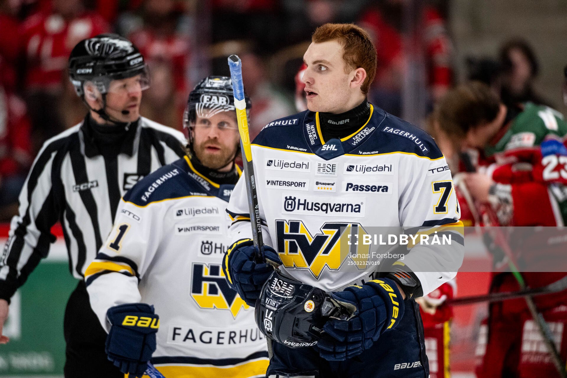 HV71s William Ignberg Nilsson
