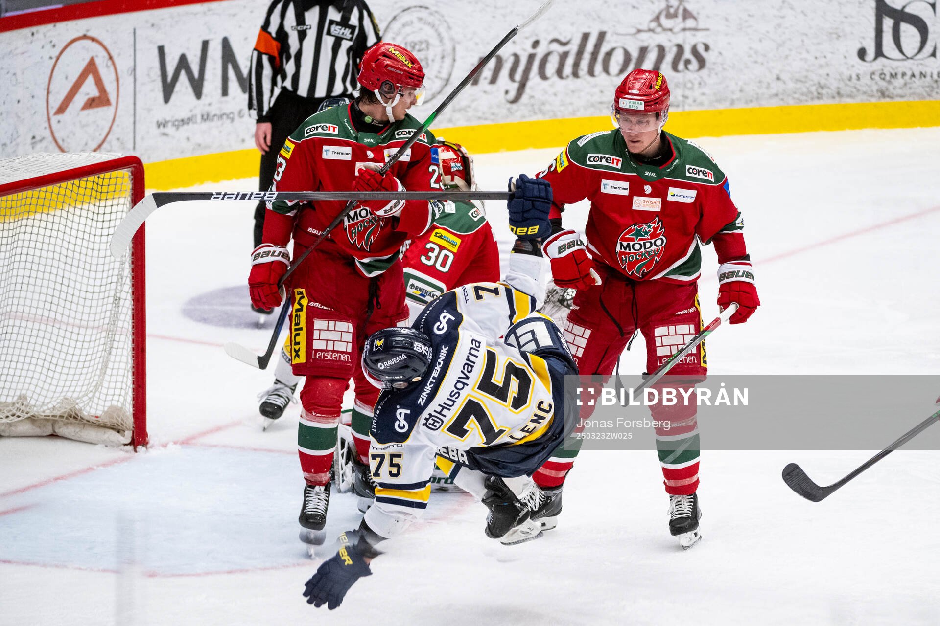 HV71s Radan Lenc