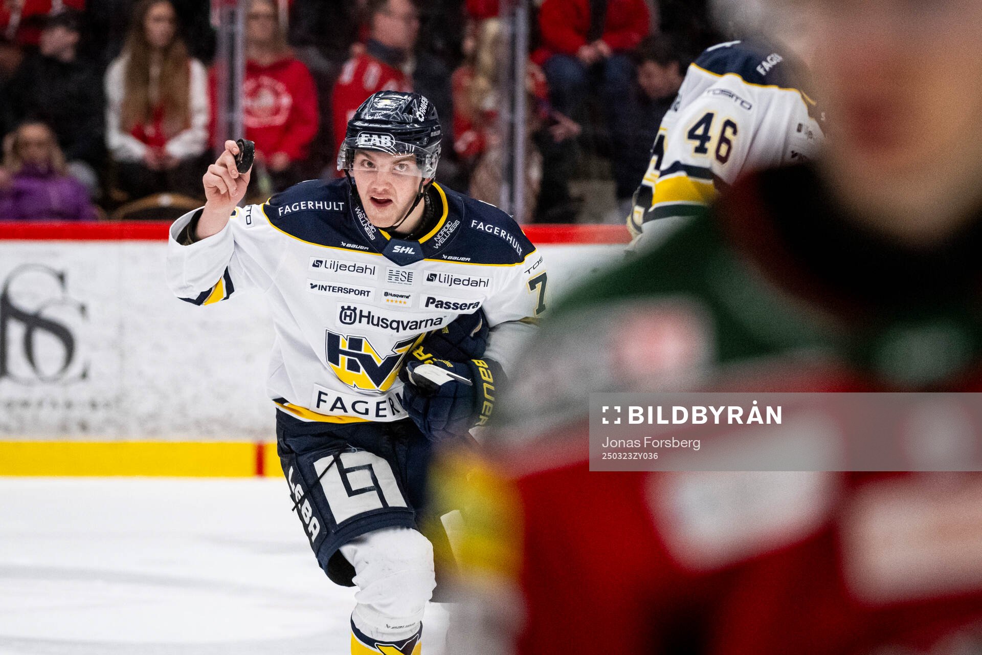 HV71s William Ignberg Nilsson jublar