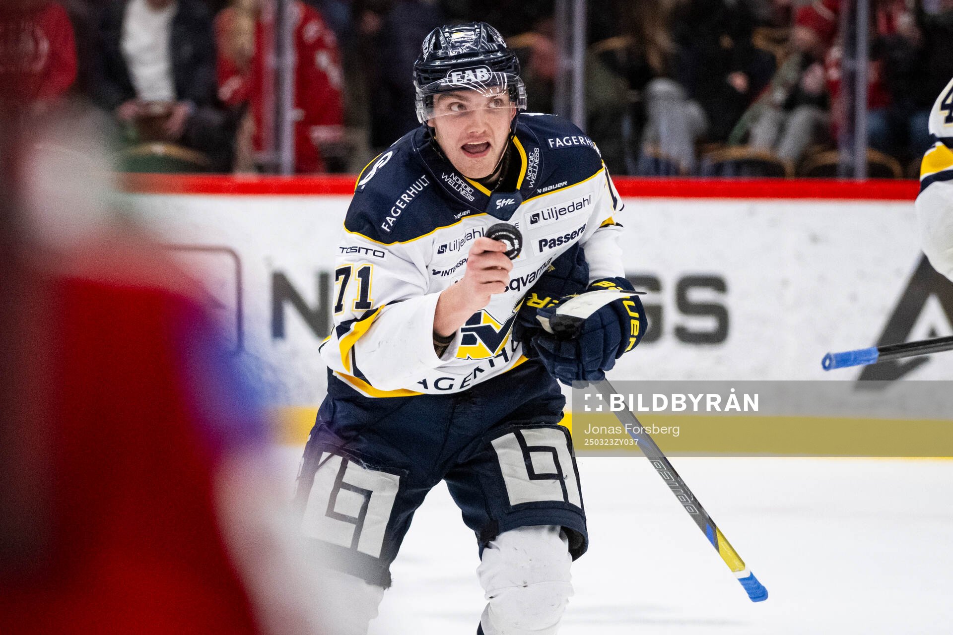 HV71s William Ignberg Nilsson jublar