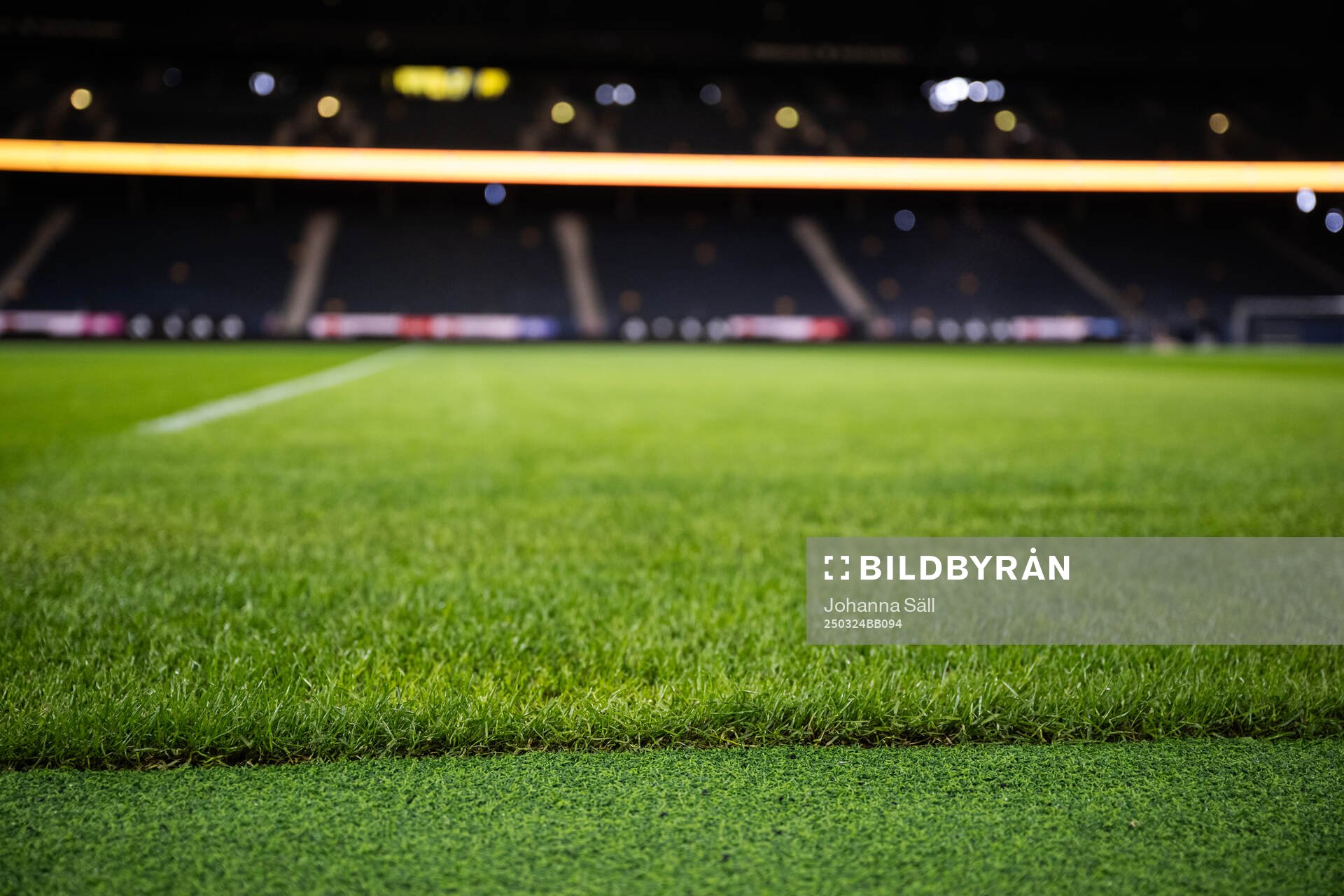 New hybrid grass