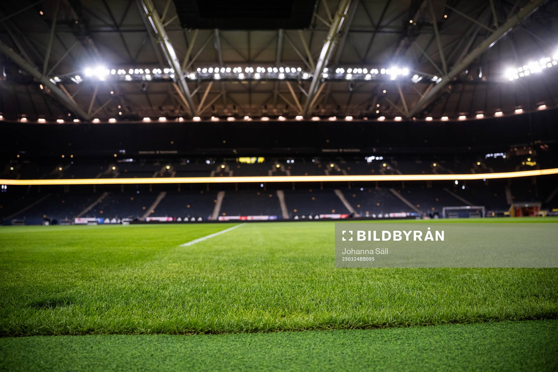 New hybrid grass