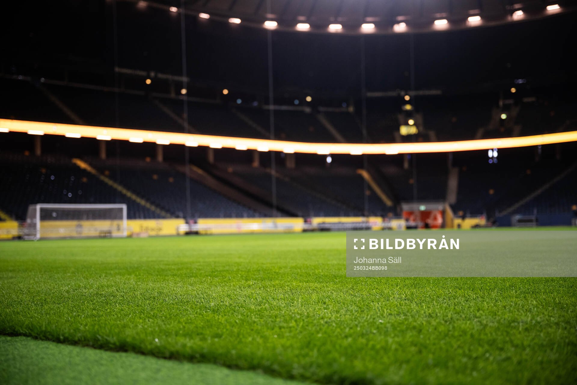 New hybrid grass