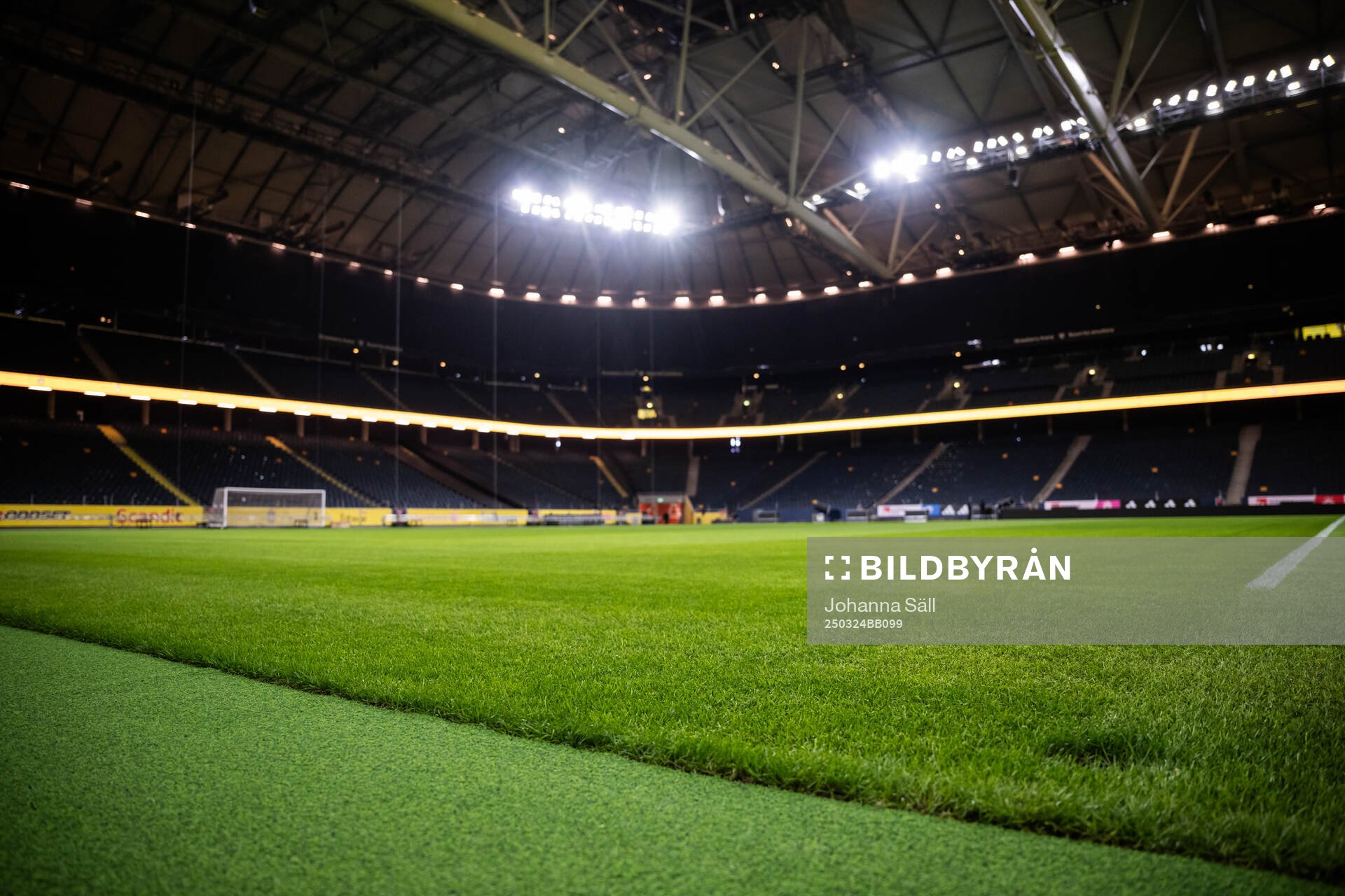 New hybrid grass