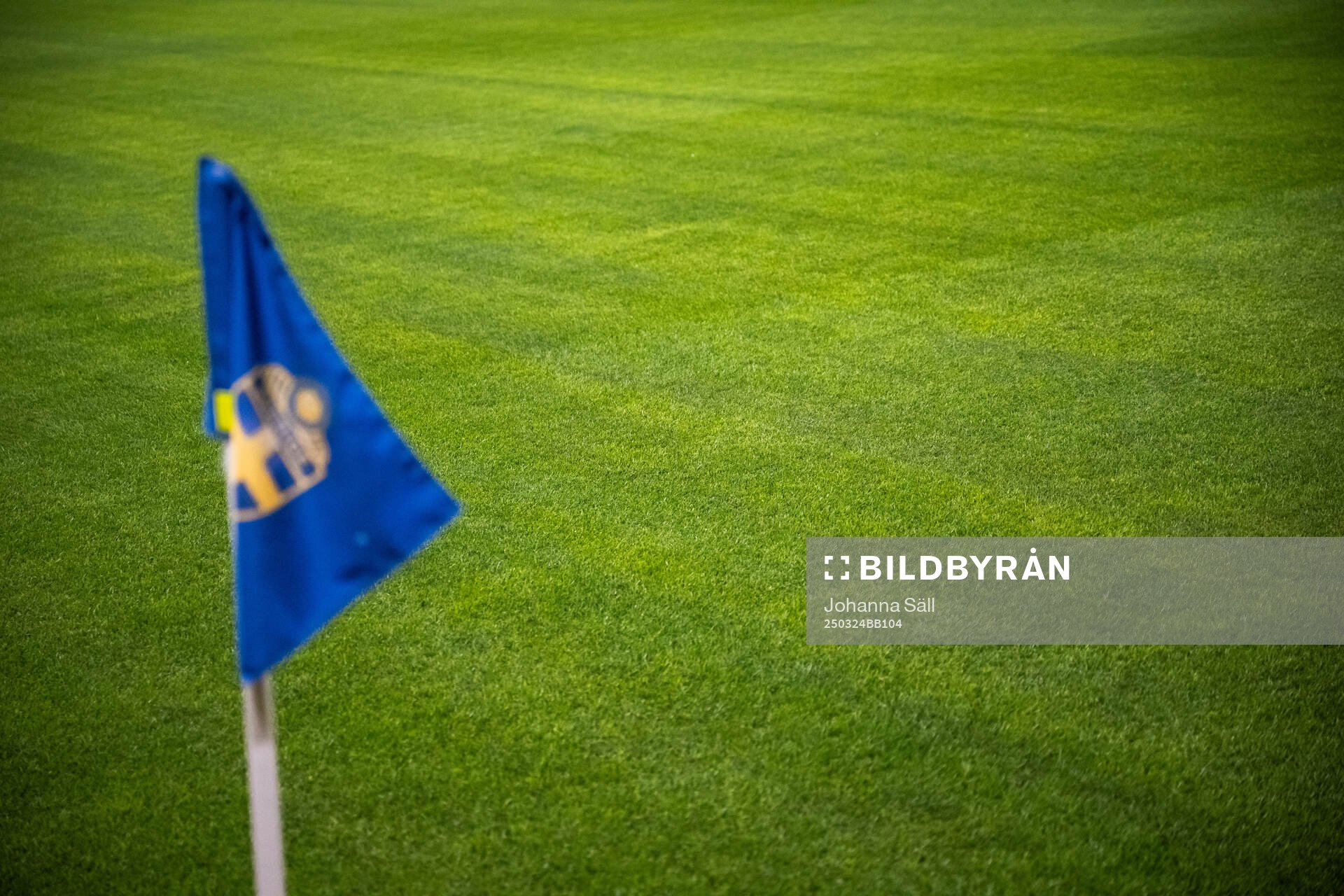 New hybrid grass on the pitch in Strawberry arena ahead of a a training session with the Swedish men's national football team on March 24, 2025 in Stockholm.