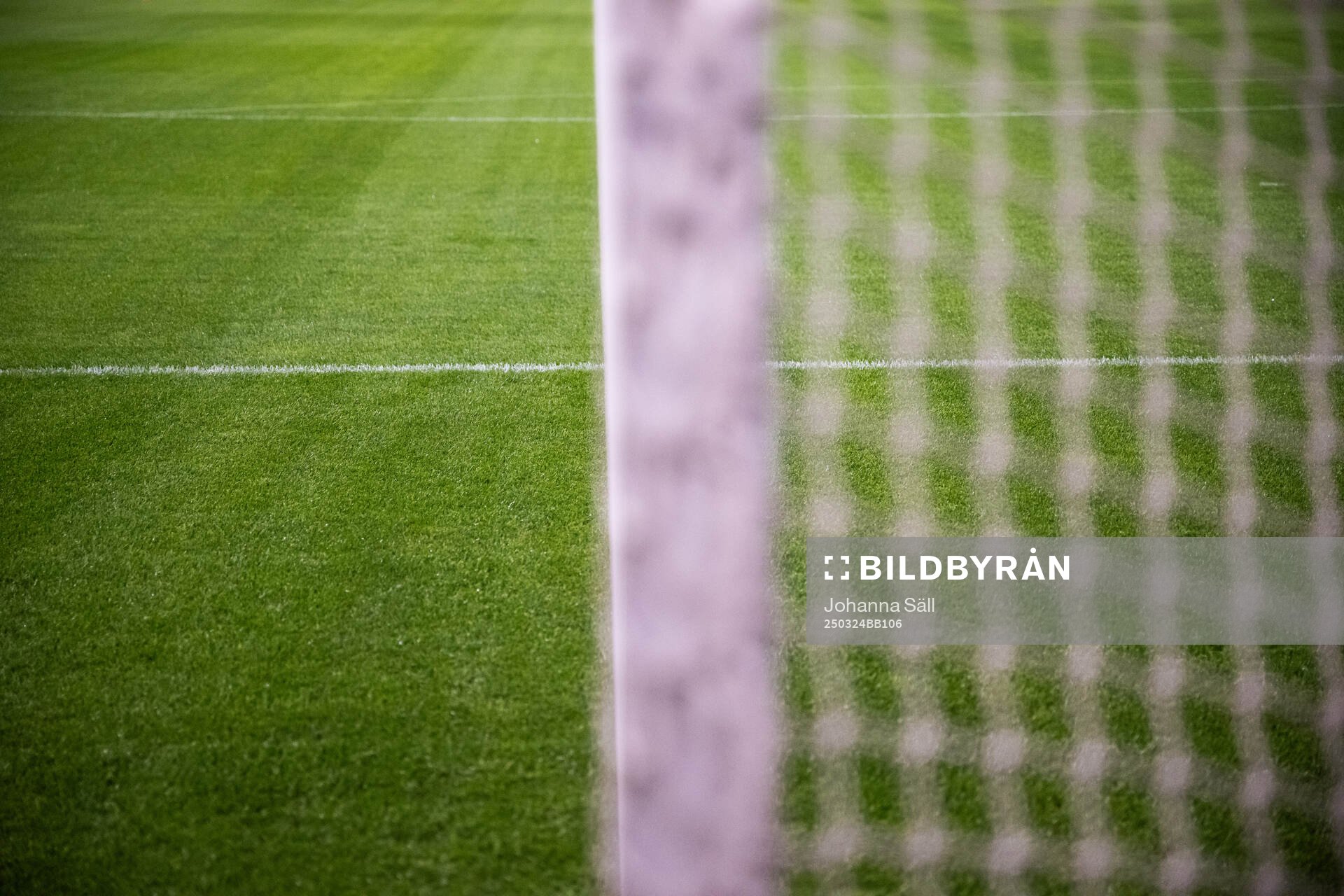 New hybrid grass on the pitch in Strawberry arena ahead of a a training session with the Swedish men's national football team on March 24, 2025 in Stockholm. 