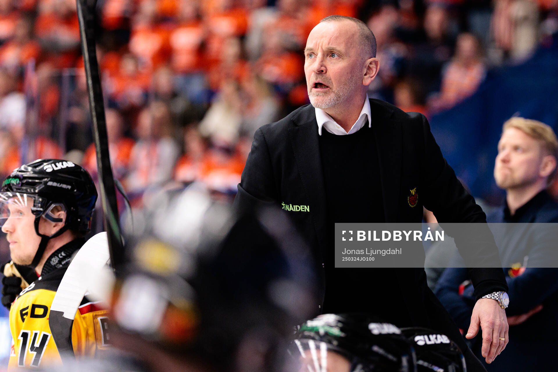 Luleås tränare Thomas Berglund