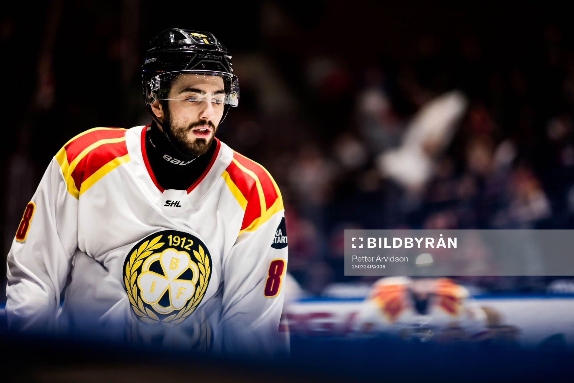 Brynäs Bobby Trivigno