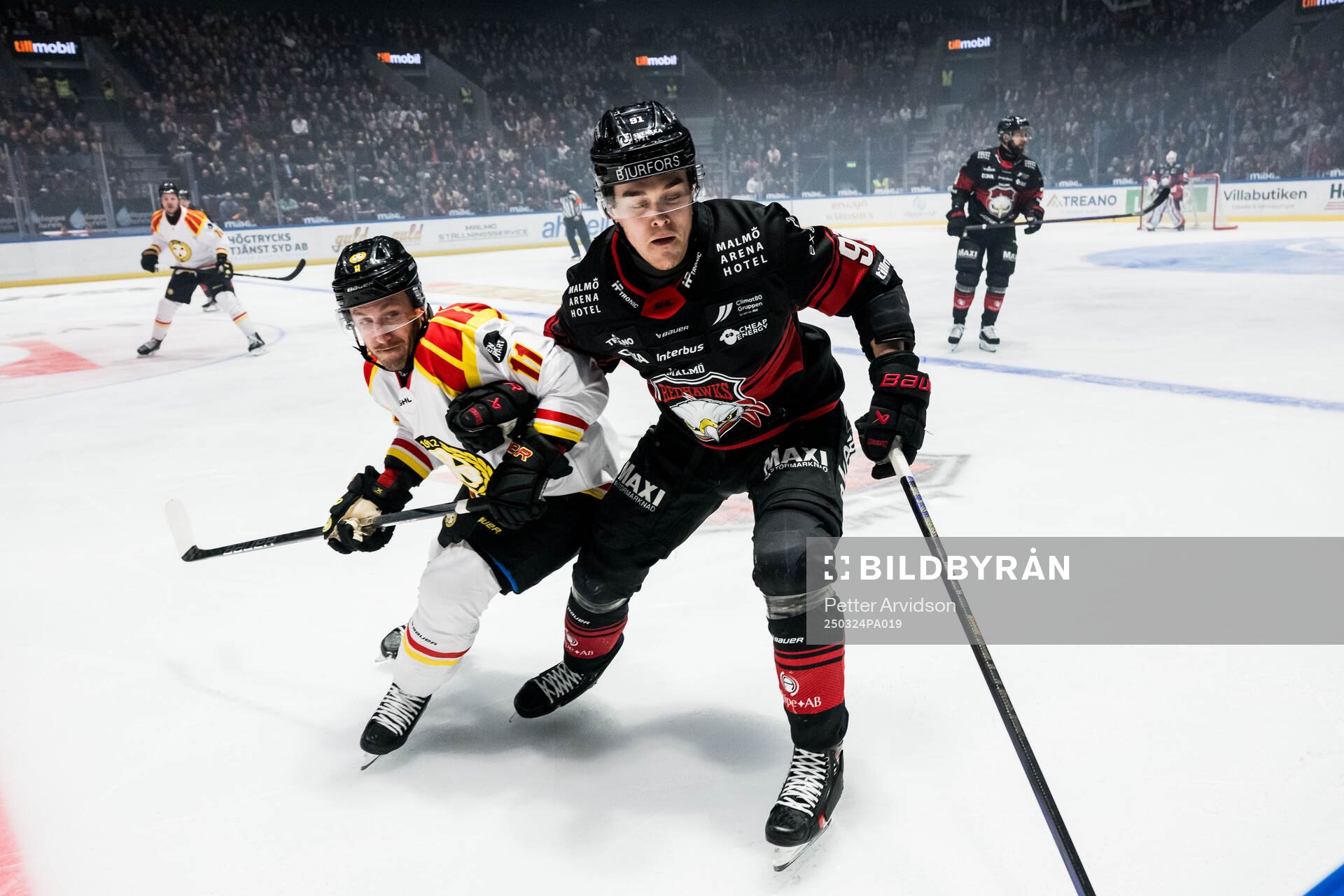Brynäs Jordan Schroeder och Malmö Redhawks Axel Sundberg
