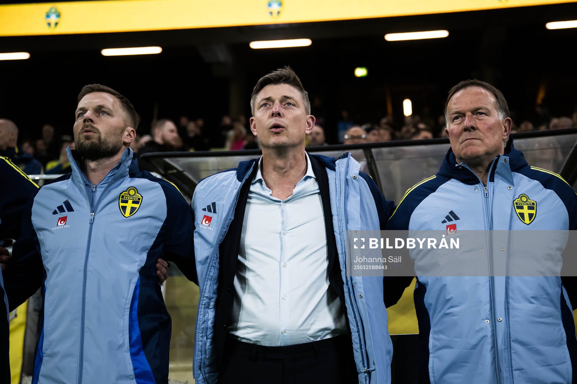 Head coach Jon Dahl Tomasson of Sweden