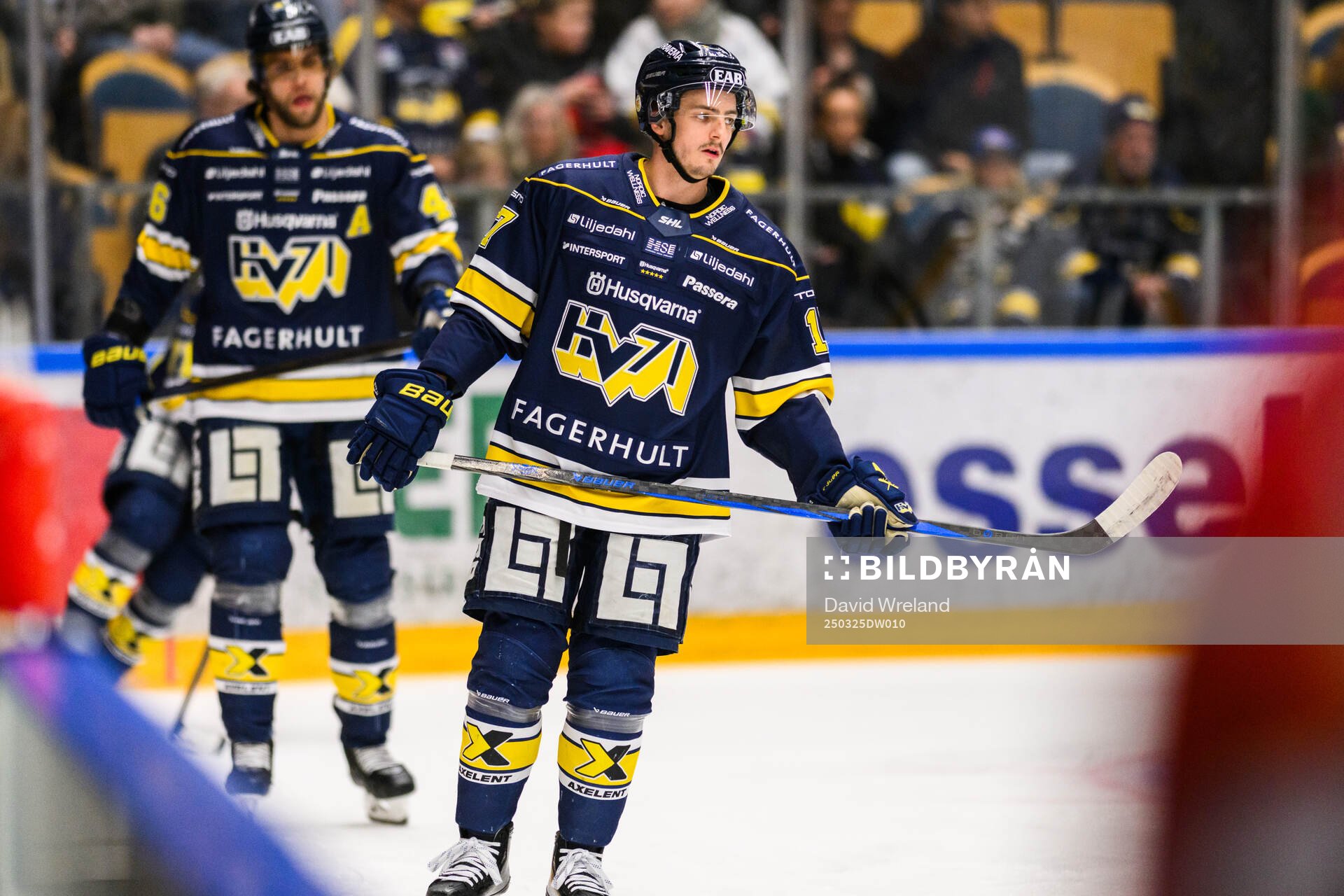 HV71s Isac Brännström