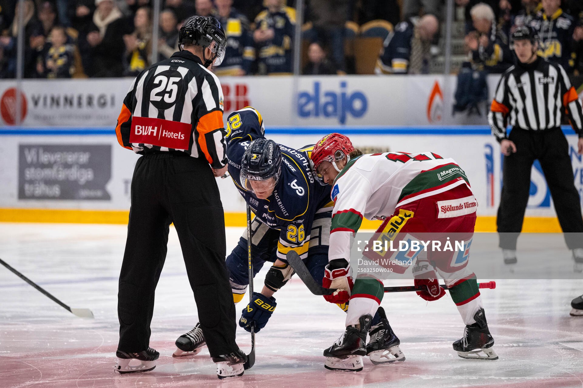 HV71s Tommi Tikka