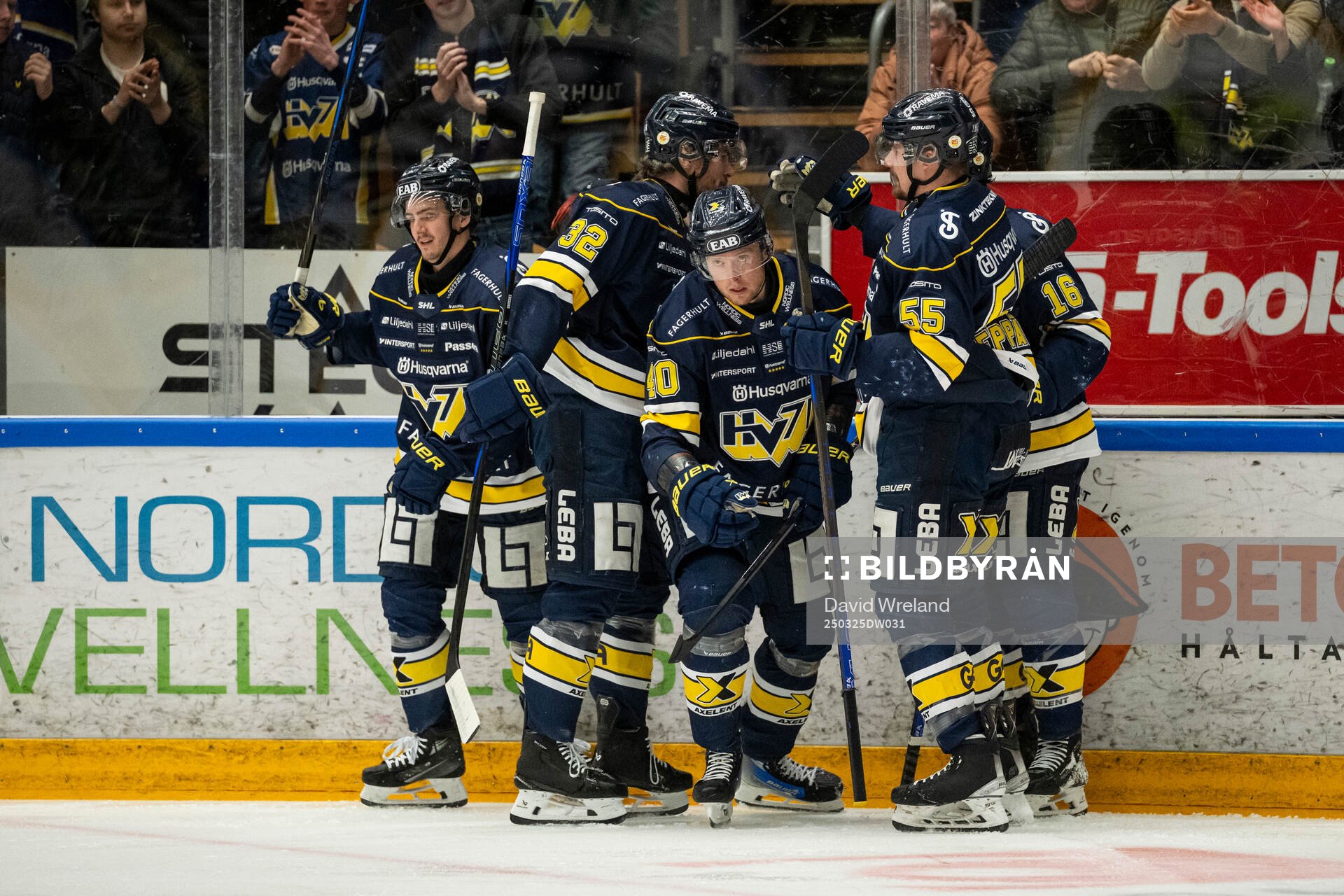 HV71s Oskar Stål-Lyrenäs jublar