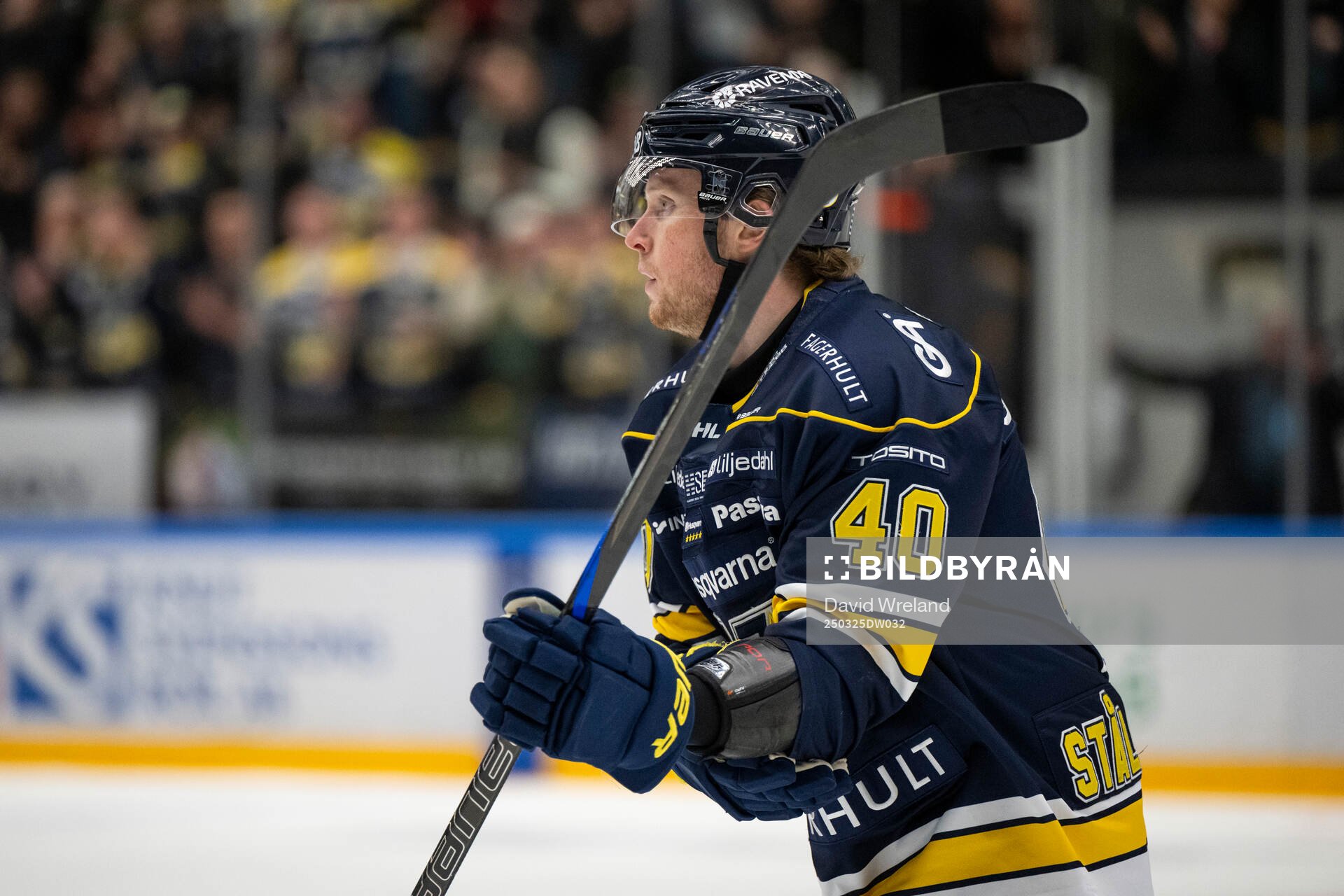HV71s Oskar Stål-Lyrenäs jublar