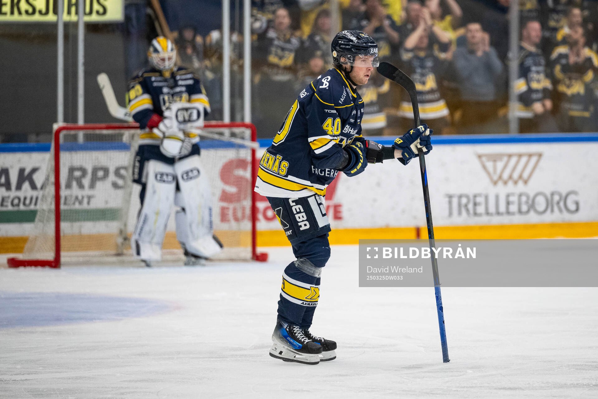 HV71s Oskar Stål-Lyrenäs jublar