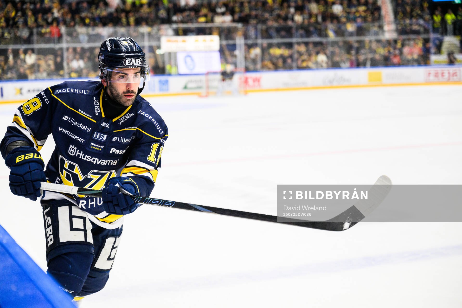 HV71s Joseph Laleggia