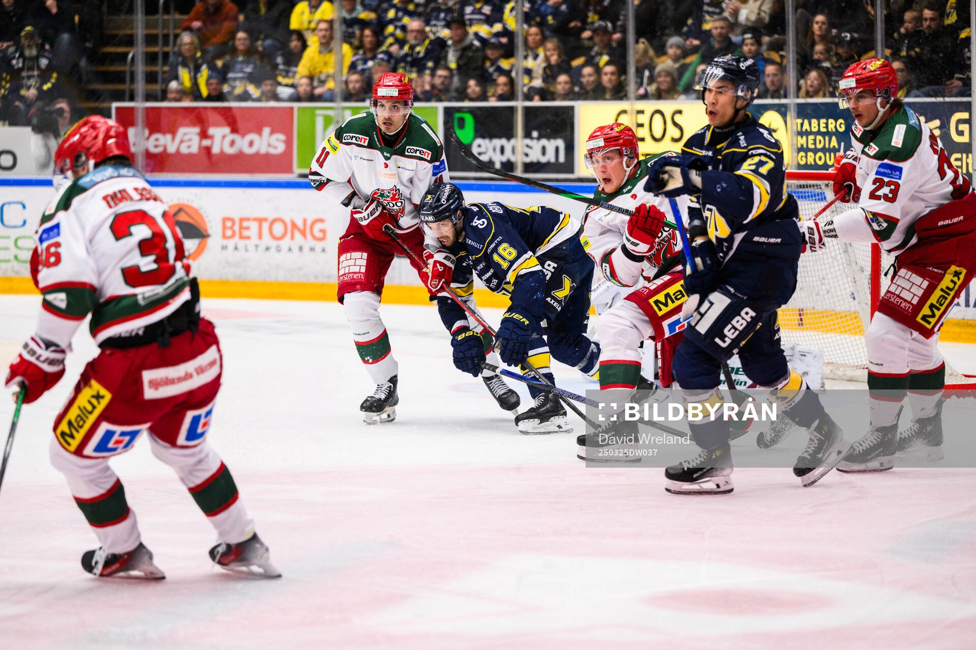 HV71s Tanner Kero och Modos Alexander True
