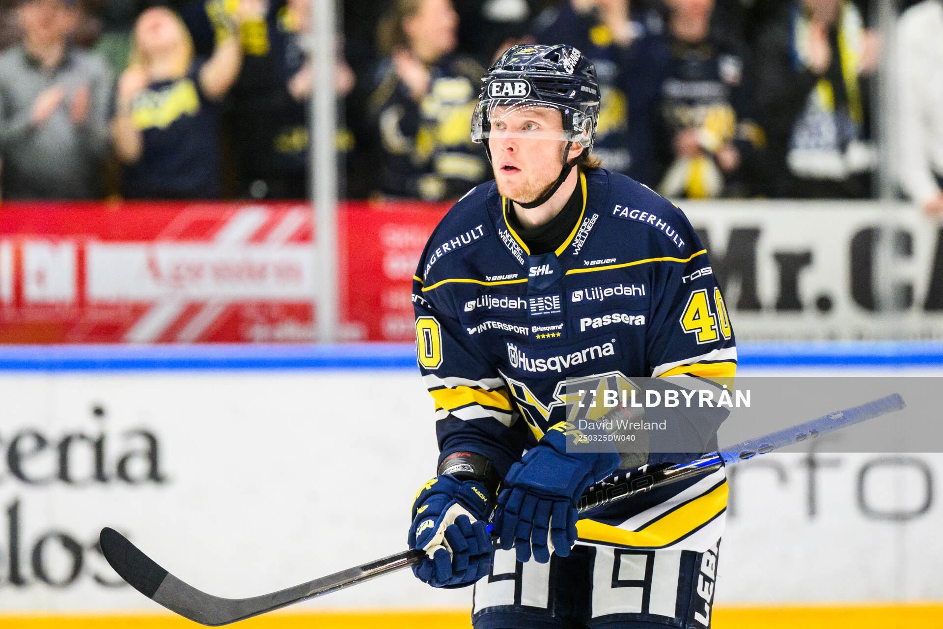 HV71s Oskar Stål-Lyrenäs jublar