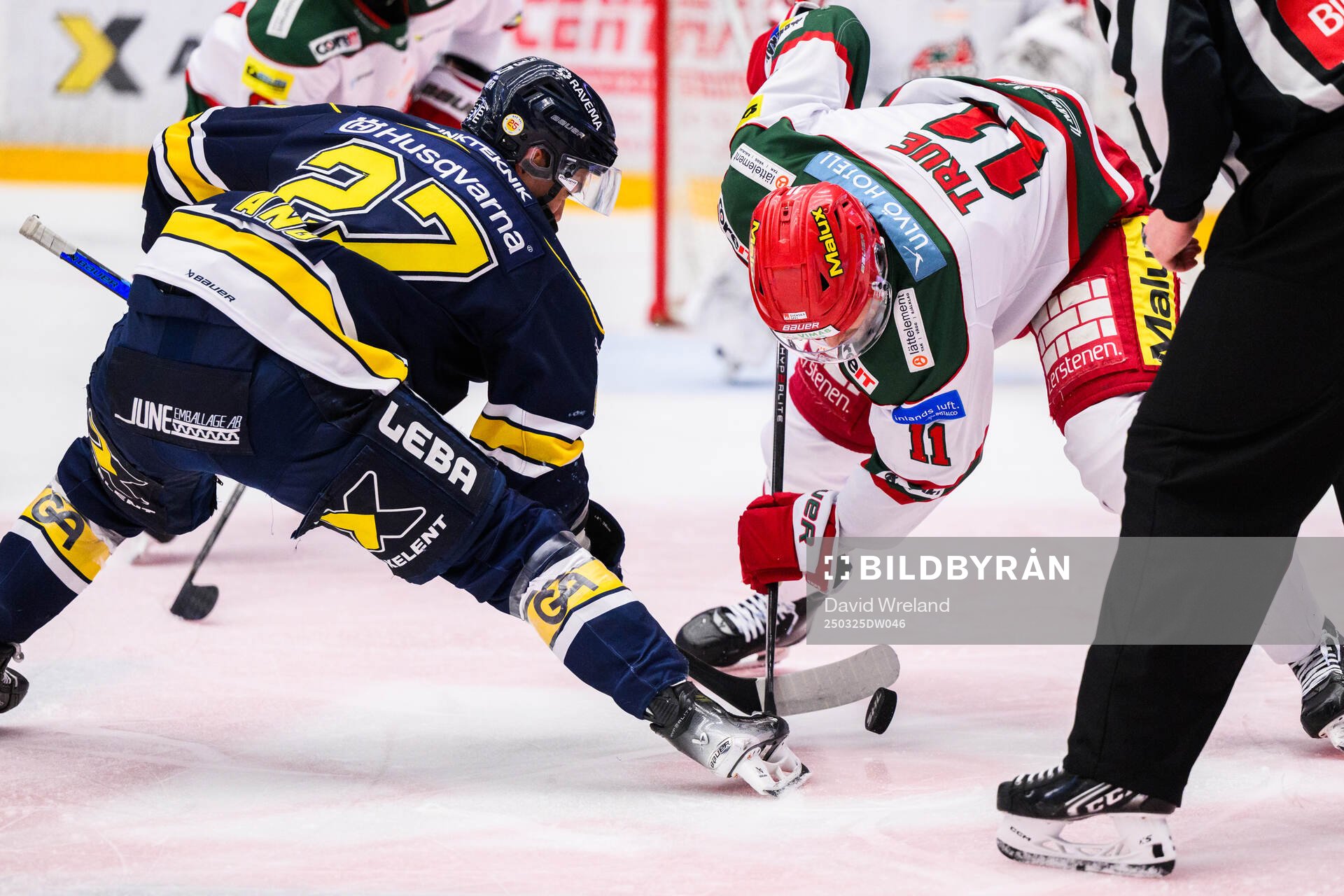 HV71s Jonathan Ang och Modos Alexander True