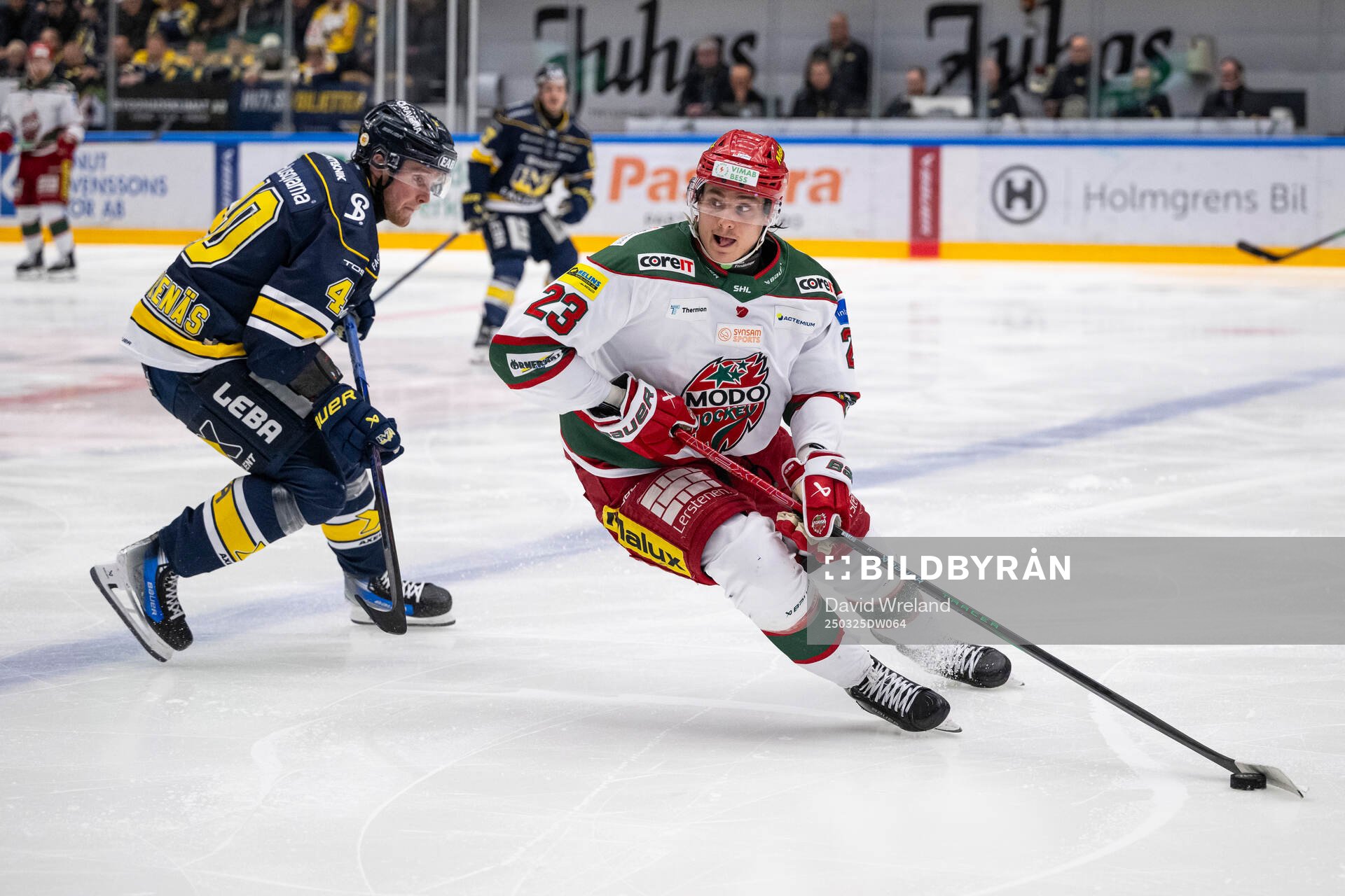 Modos Tobias Winberg