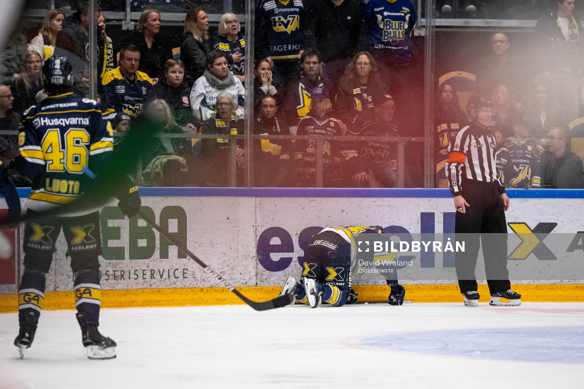 HV71s Oscar Fisker Molgaard har ont