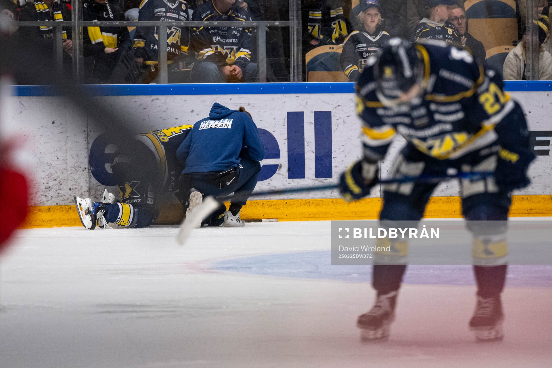HV71s Oscar Fisker Molgaard har ont
