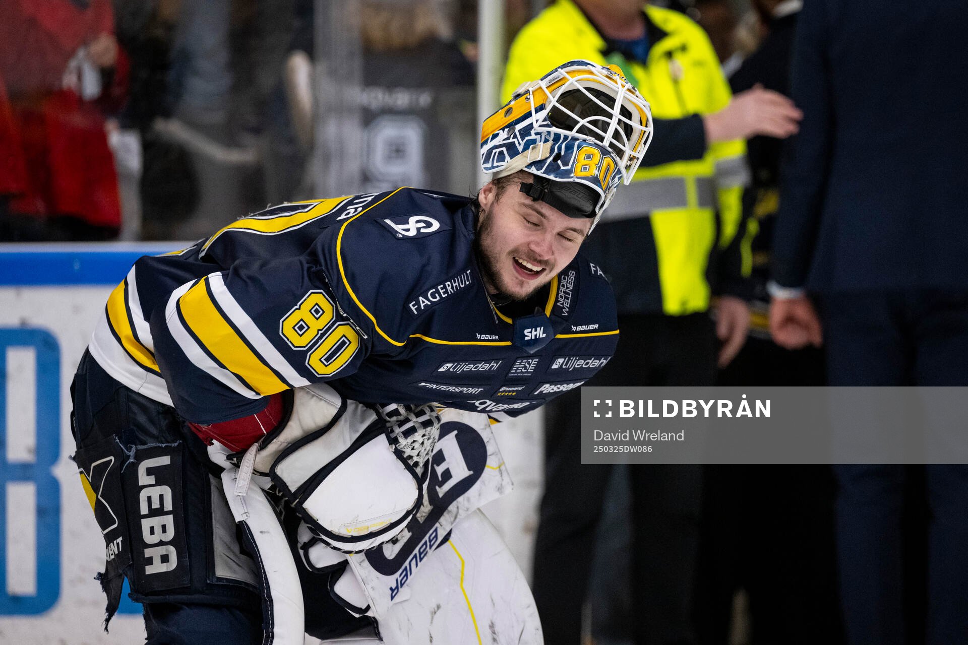 HV71s målvakt Frederik Dichow jublar