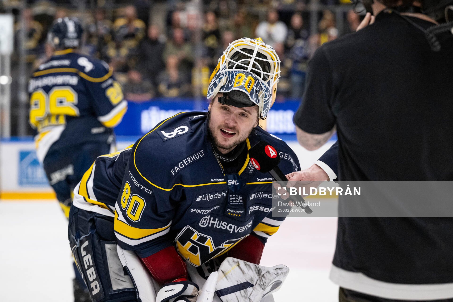 HV71s målvakt Frederik Dichow jublar