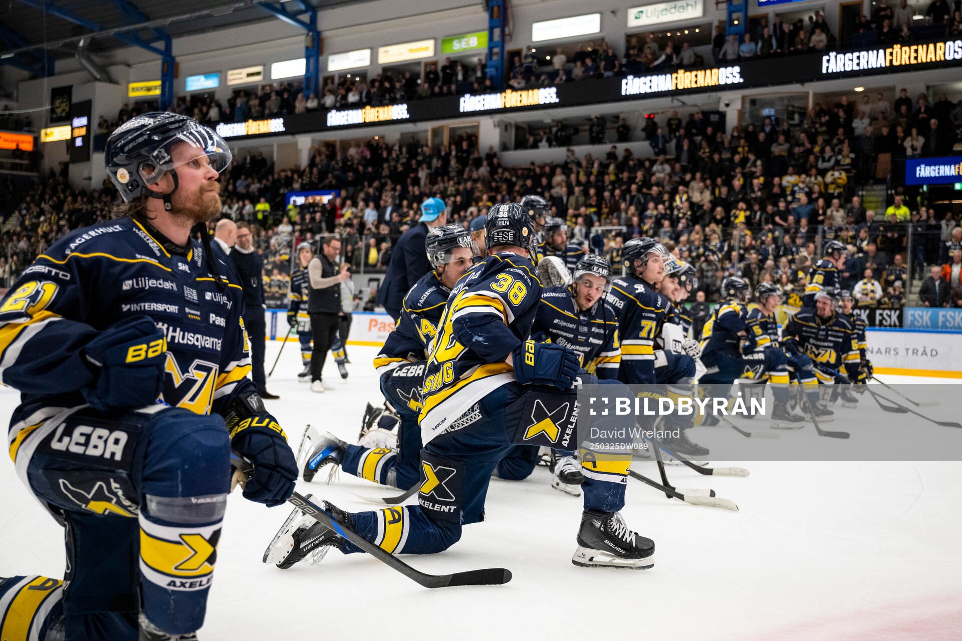 HV71s spelare jublar