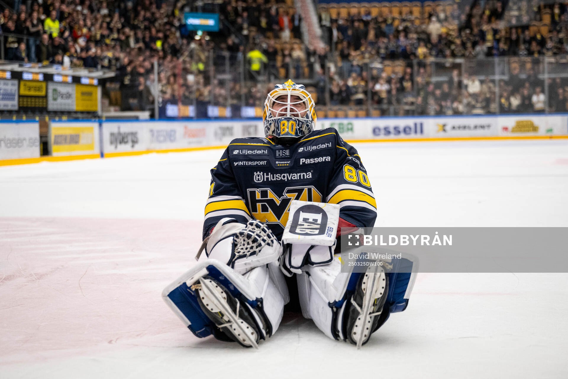 HV71s målvakt Frederik Dichow jublar