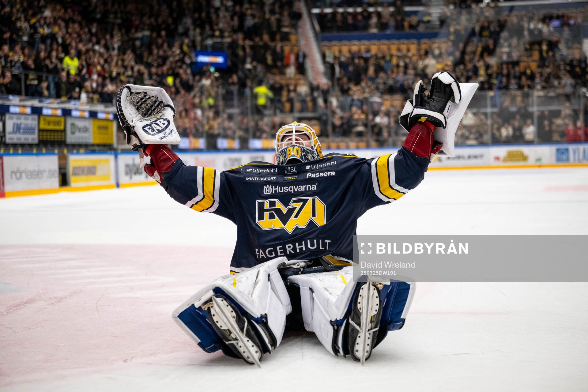 HV71s målvakt Frederik Dichow jublar