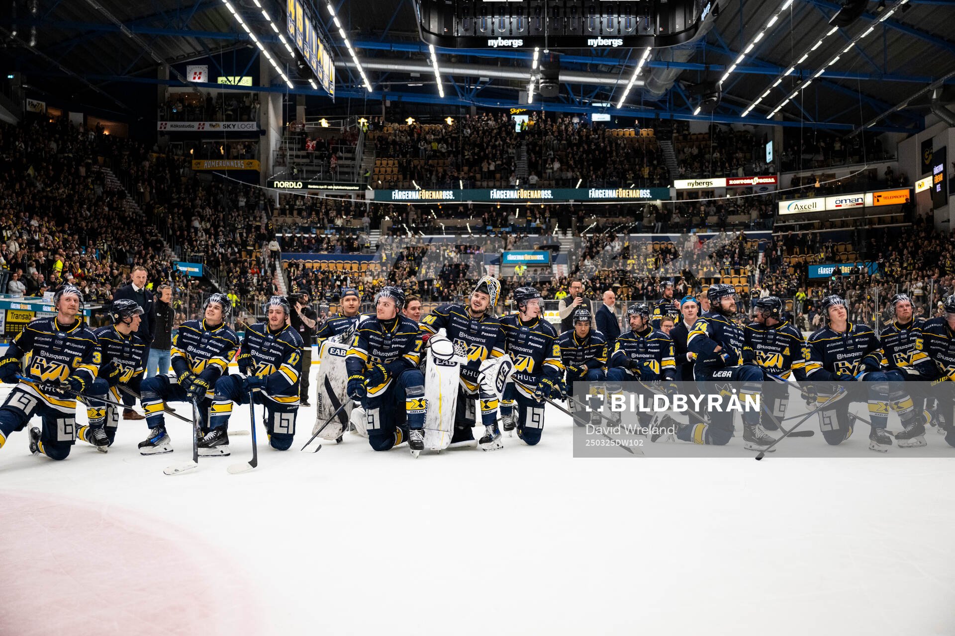 HV71s spelare jublar