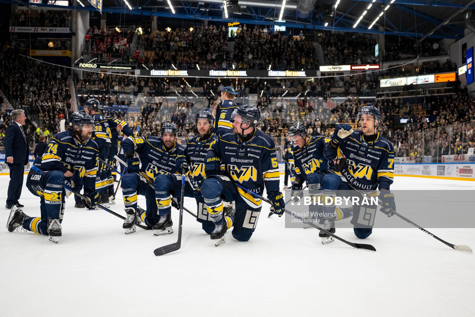 HV71s spelare jublar