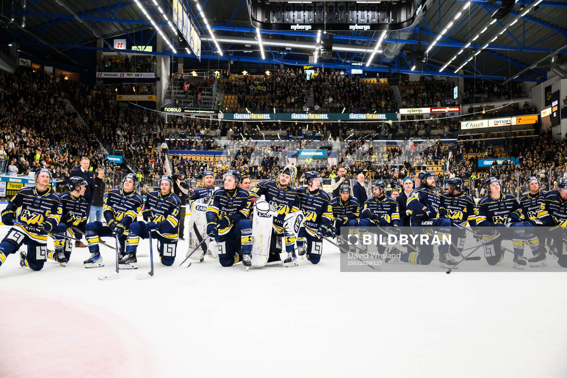 HV71s spelare jublar