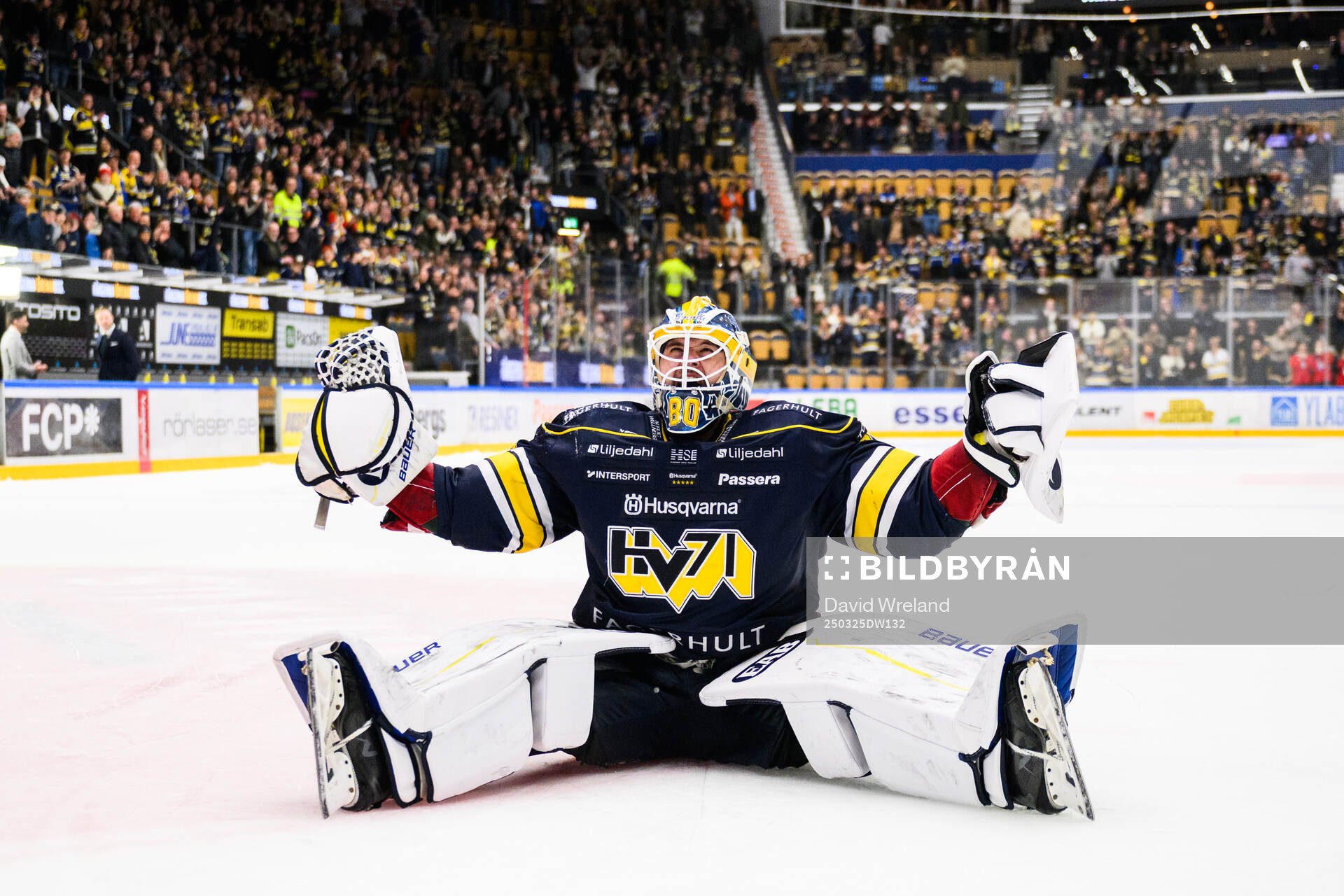 HV71s målvakt Frederik Dichow jublar
