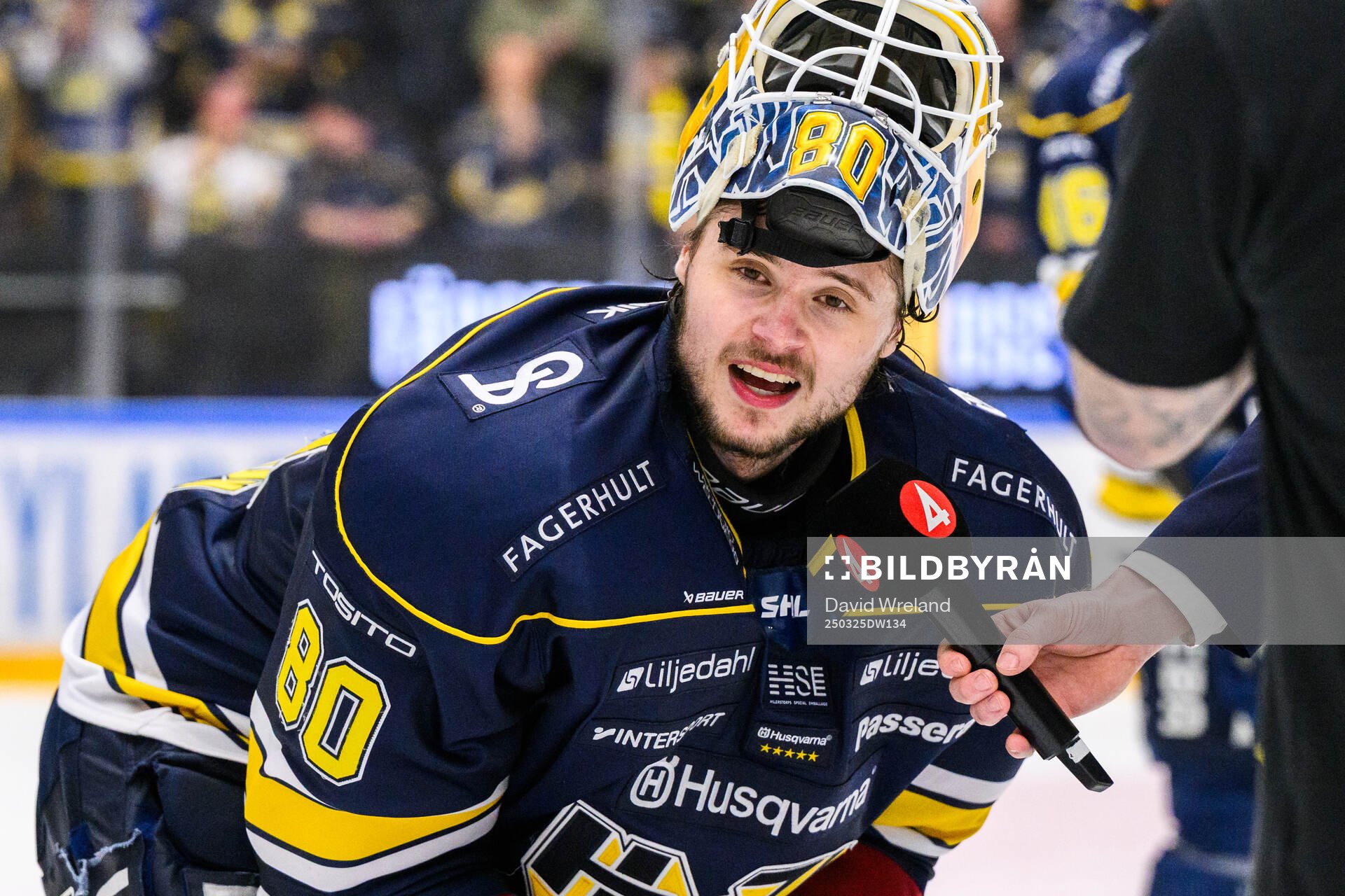 HV71s målvakt Frederik Dichow jublar intervjuvas av tv4