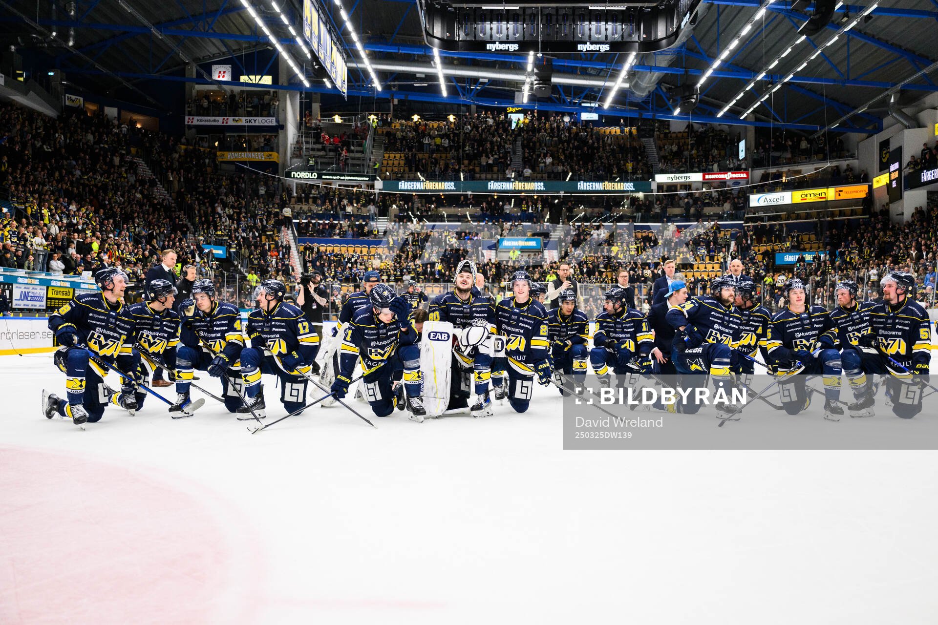 HV71s spelare jublar