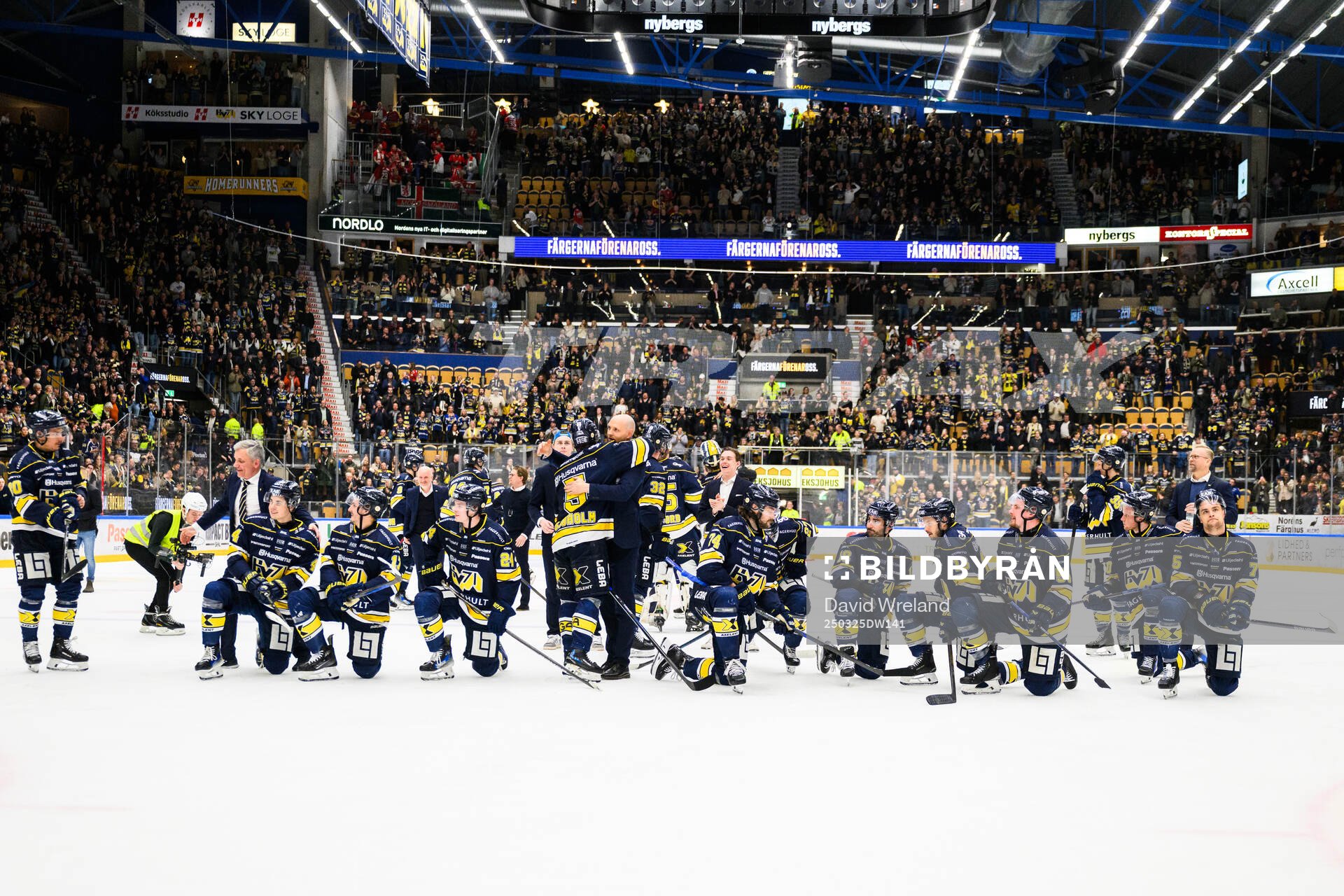 HV71s spelare jublar