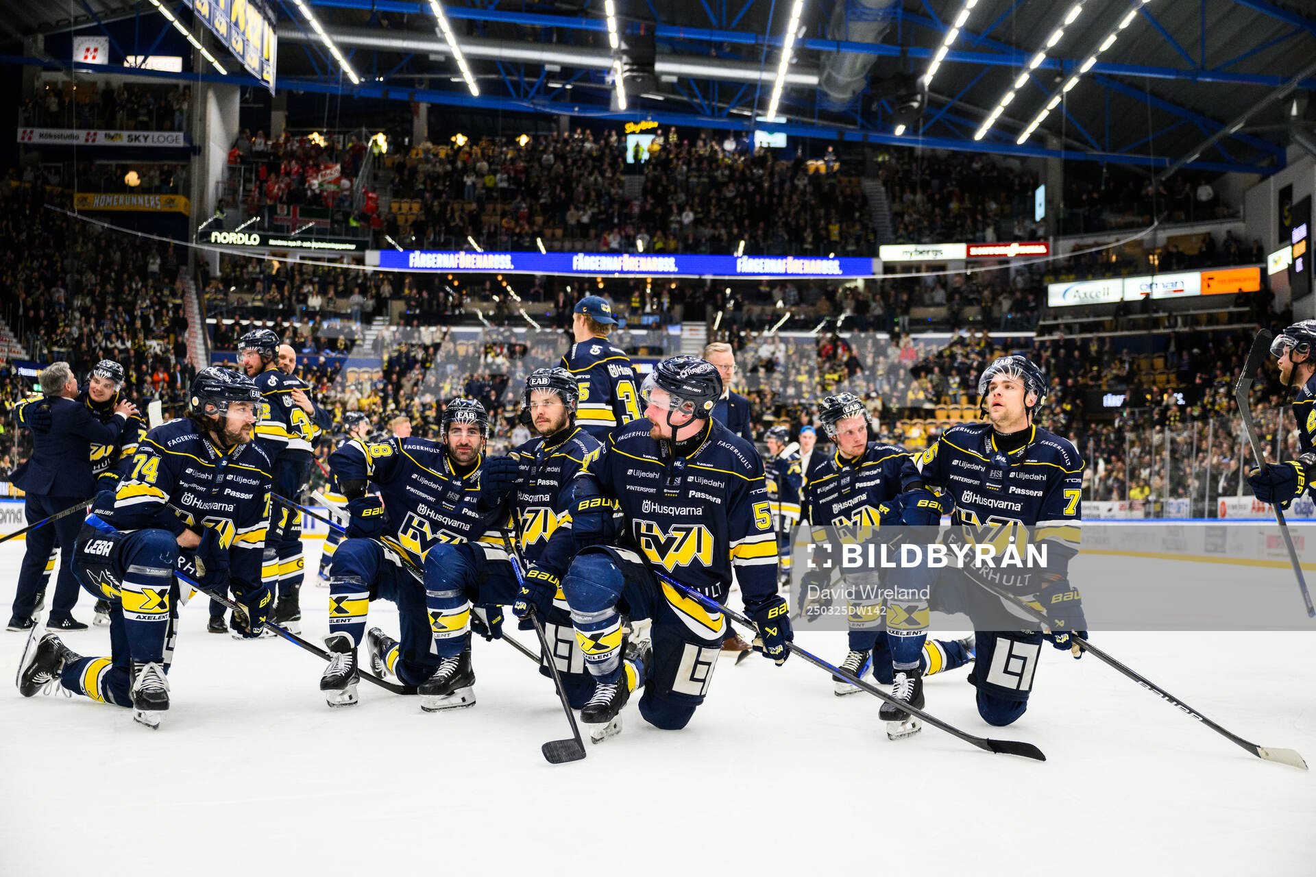 HV71s spelare jublar