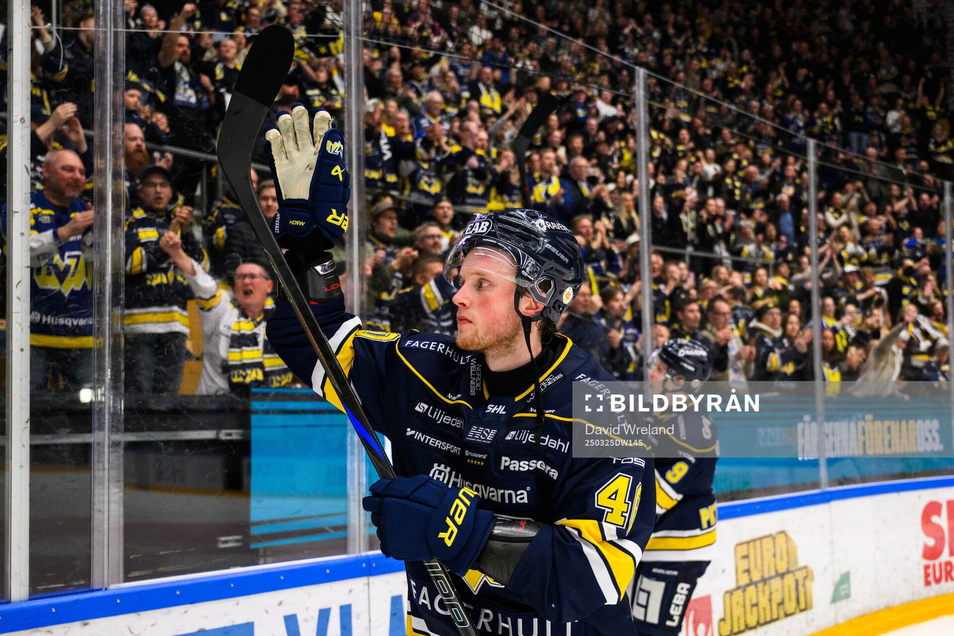 HV71s Oskar Stål-Lyrenäs jublar