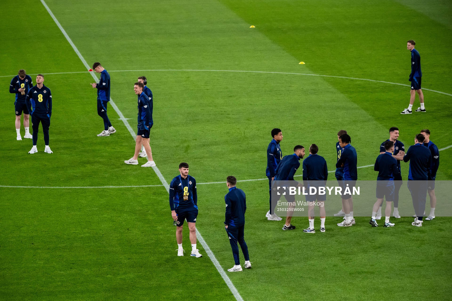 Players of Northern Ireland