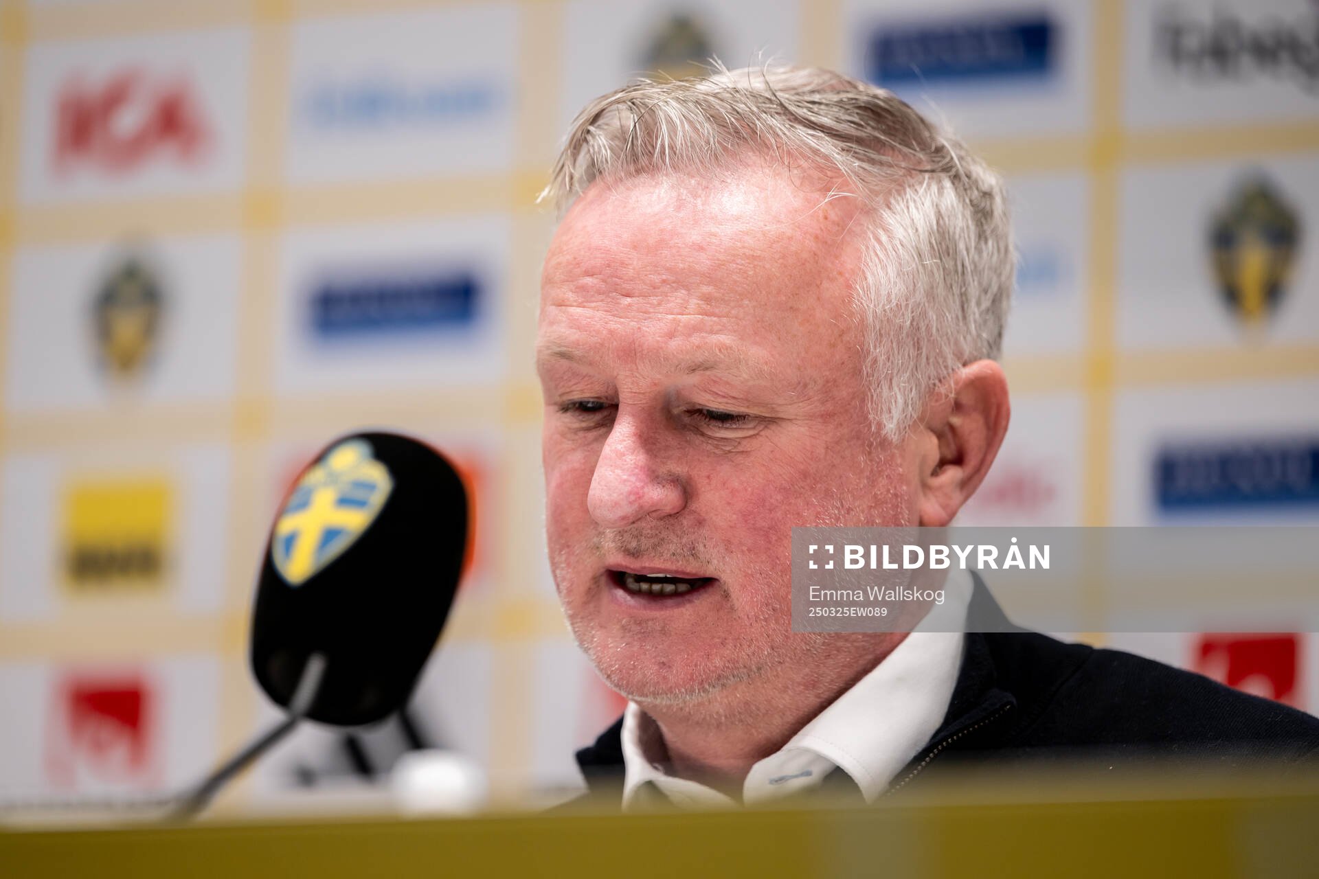 Head coach Michael O'Neill of Northern Ireland