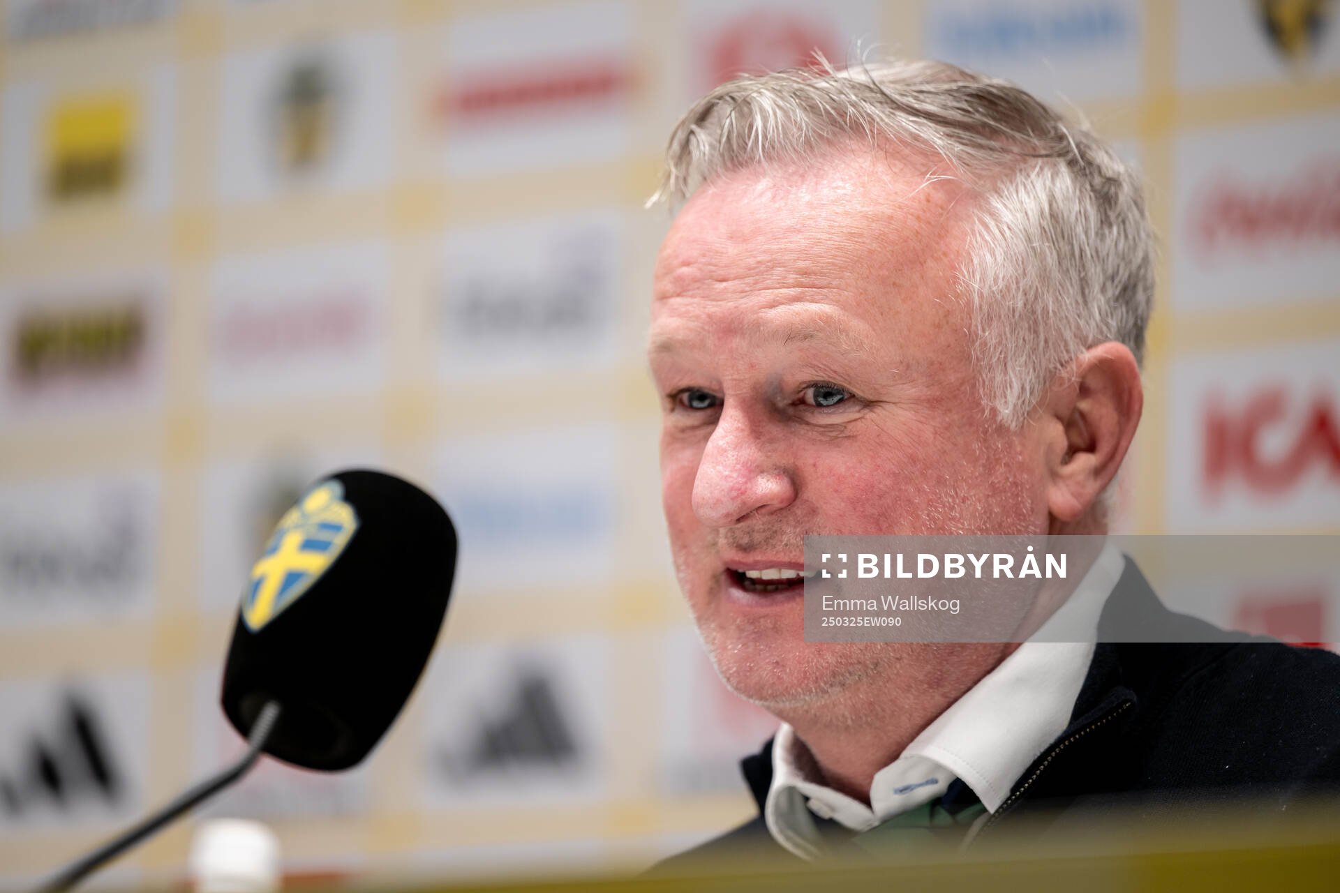Head coach Michael O'Neill of Northern Ireland