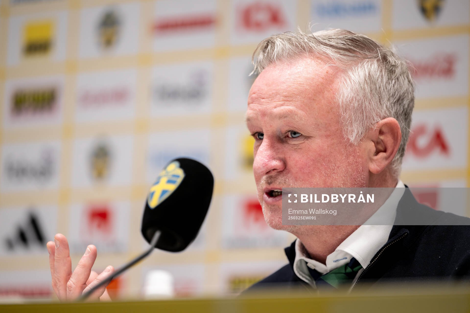 Head coach Michael O'Neill of Northern Ireland