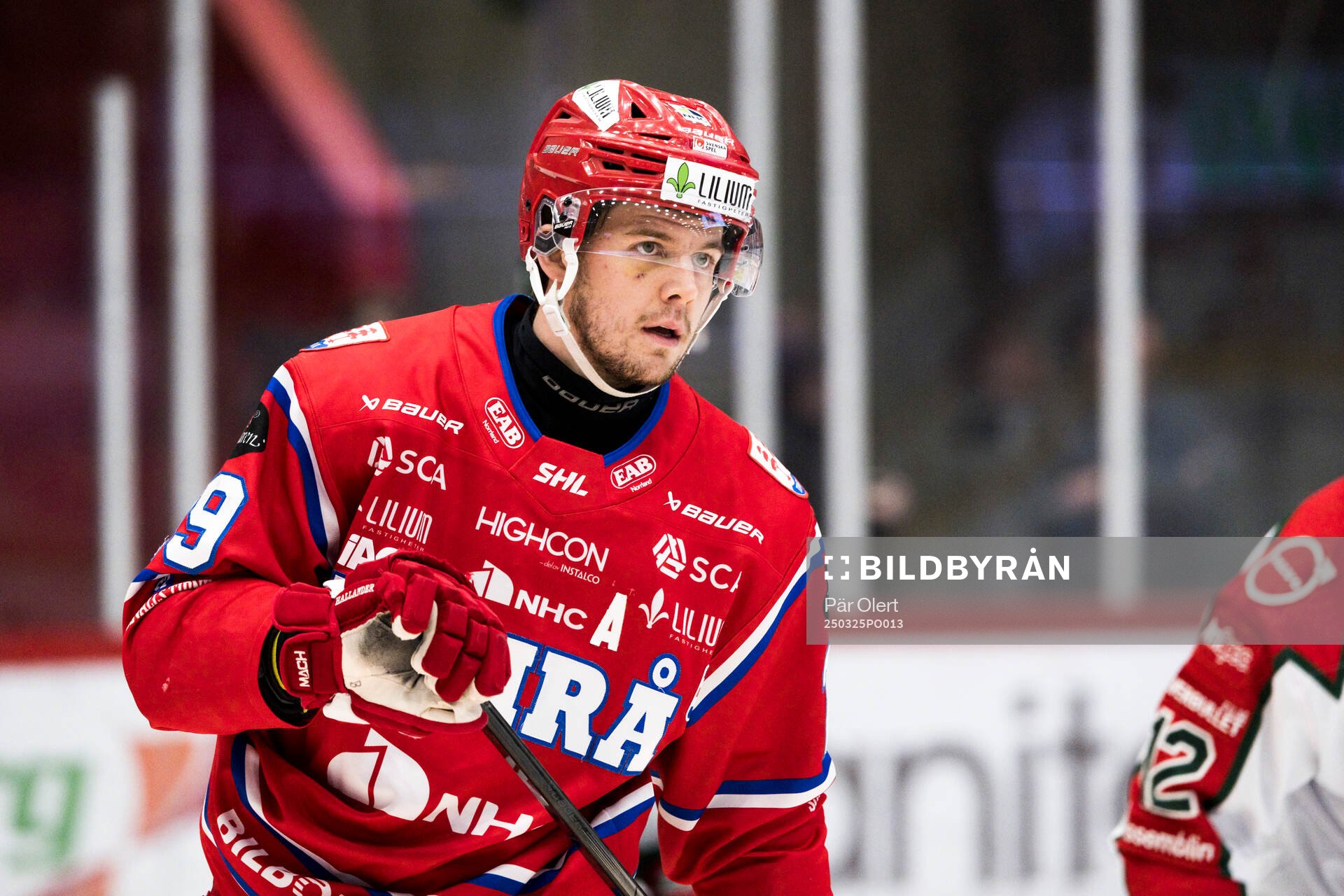Timrås Filip Hållander