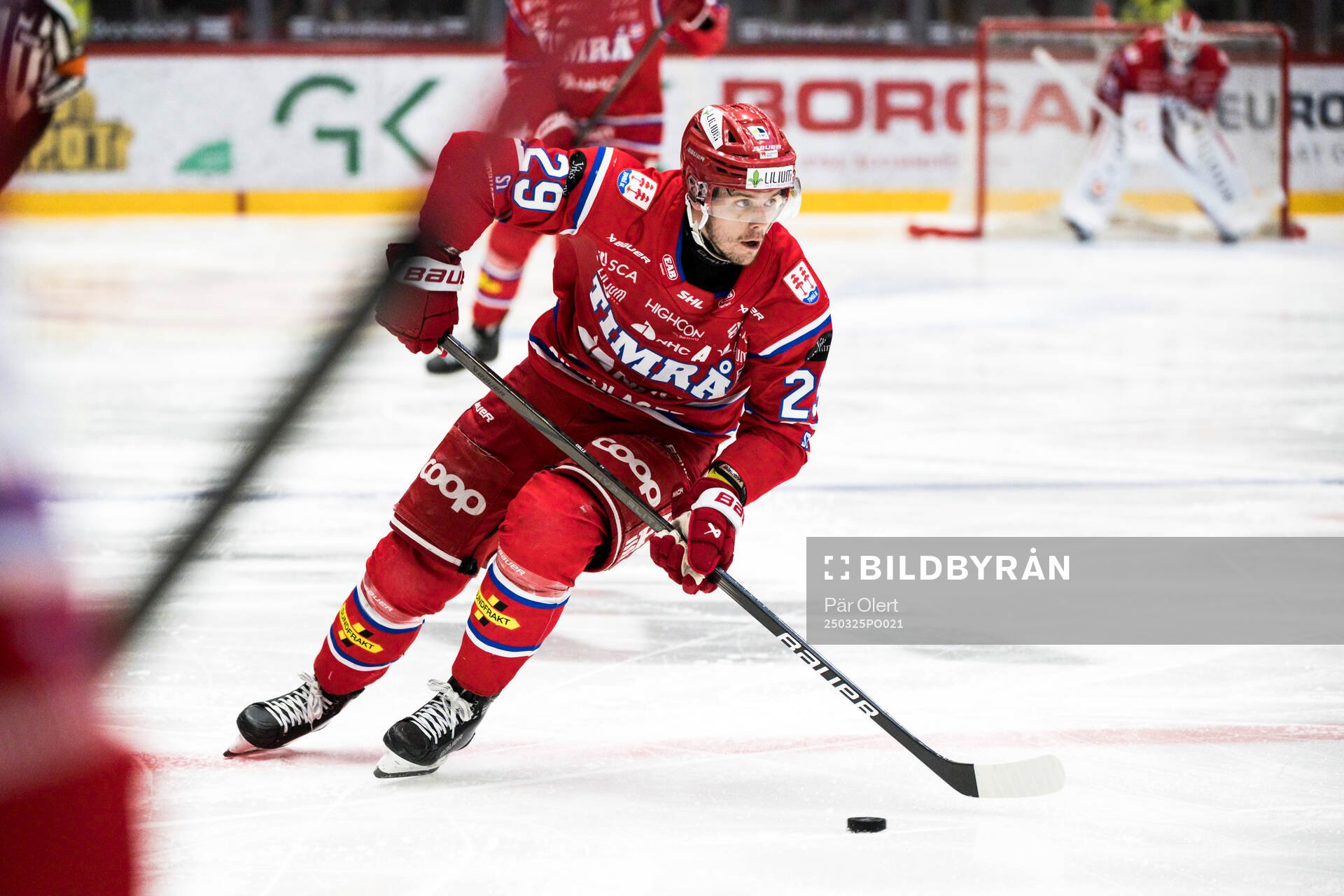 Timrås Filip Hållander